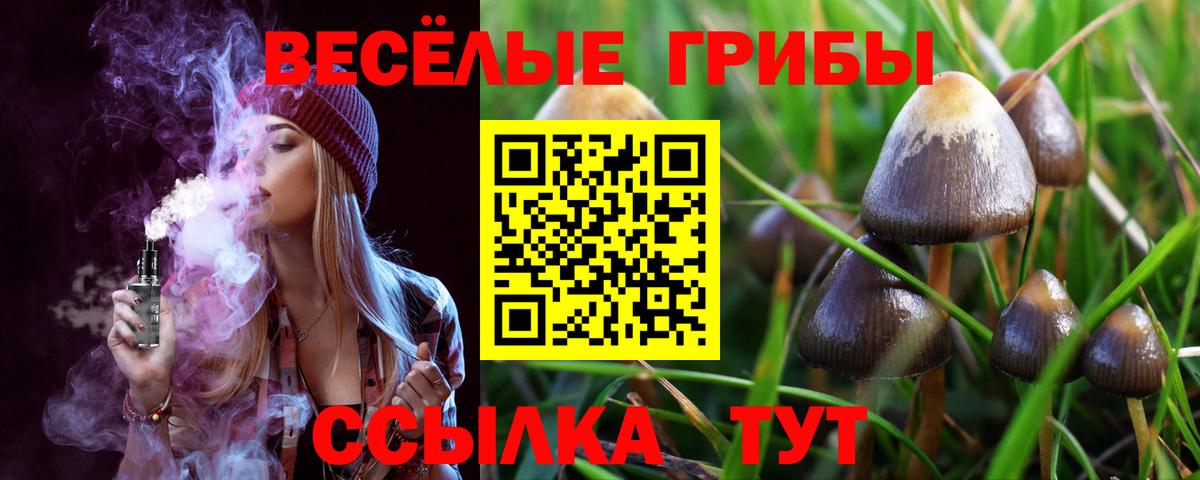 Псилоцибиновые грибы Psilocybine cubensis  Галлюциногенные грибы Psilocybe  Вход с VPN  Железноводск 